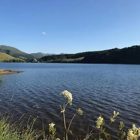 T2 Au Centre Avec Wifi - Fr-1-608-153 Apartament Mont-Dore