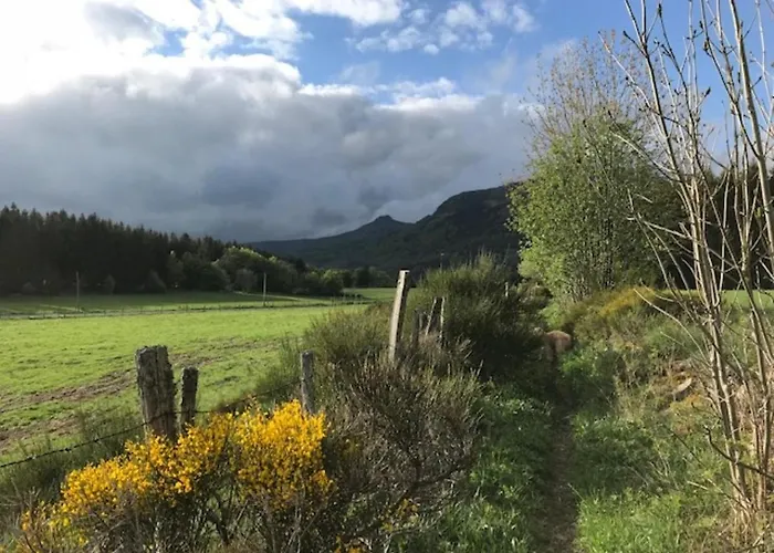 T2 Au Centre Avec Wifi - Fr-1-608-153 Apartment